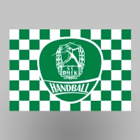 Hissflagge mit Logo 150x100cm